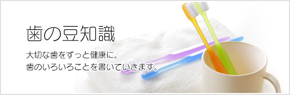 歯の豆知識